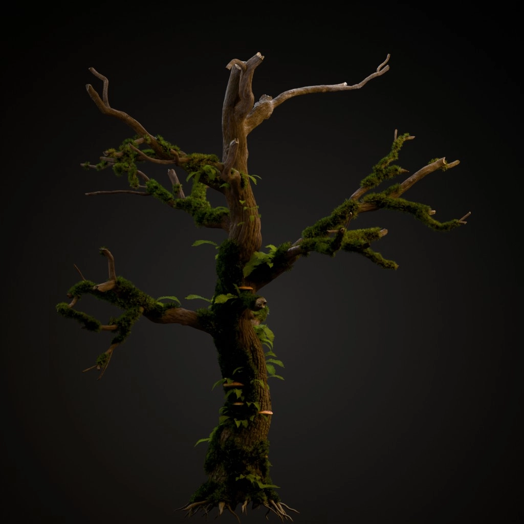 English Oak Dead