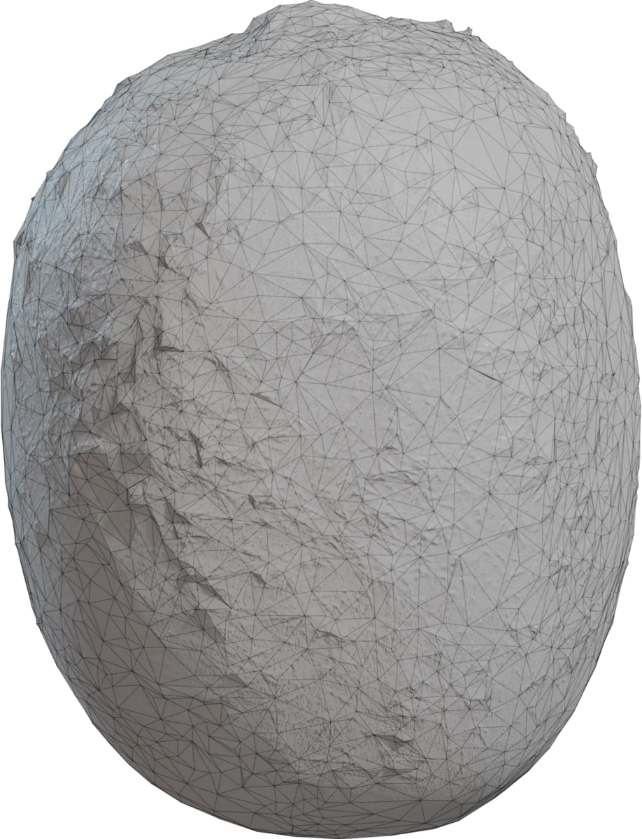 Realistic Kiwi Fruit 4K — 3D model preview 1