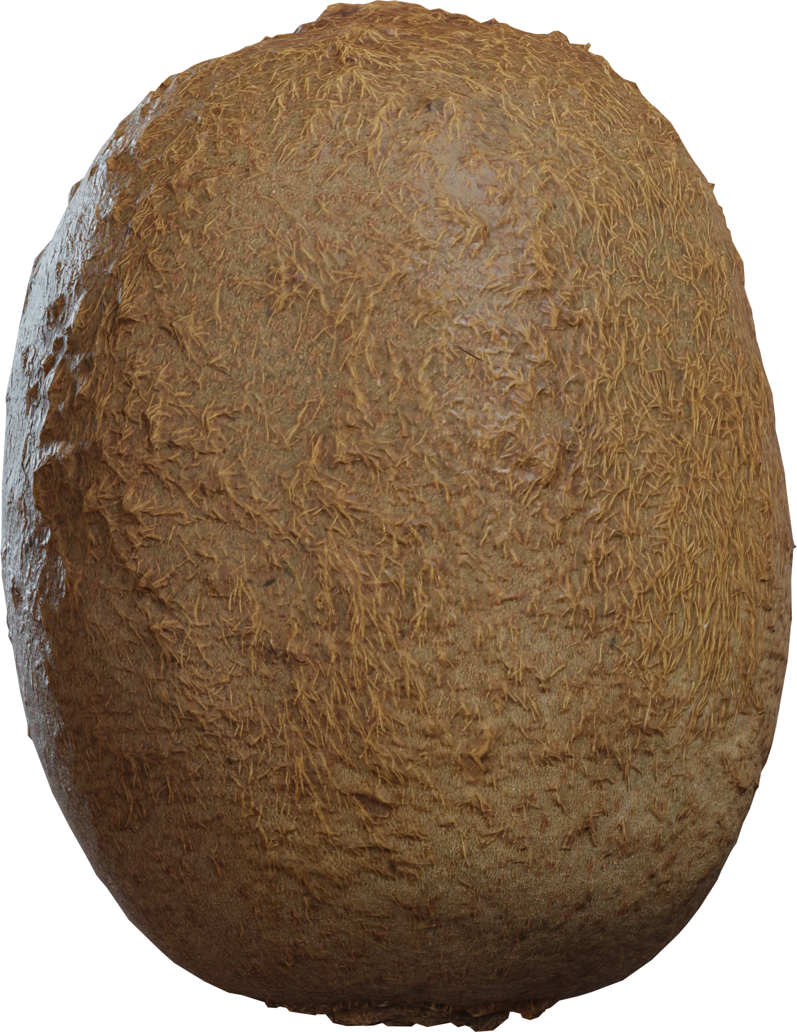 Realistic Kiwi Fruit 4K — 3D model preview 2