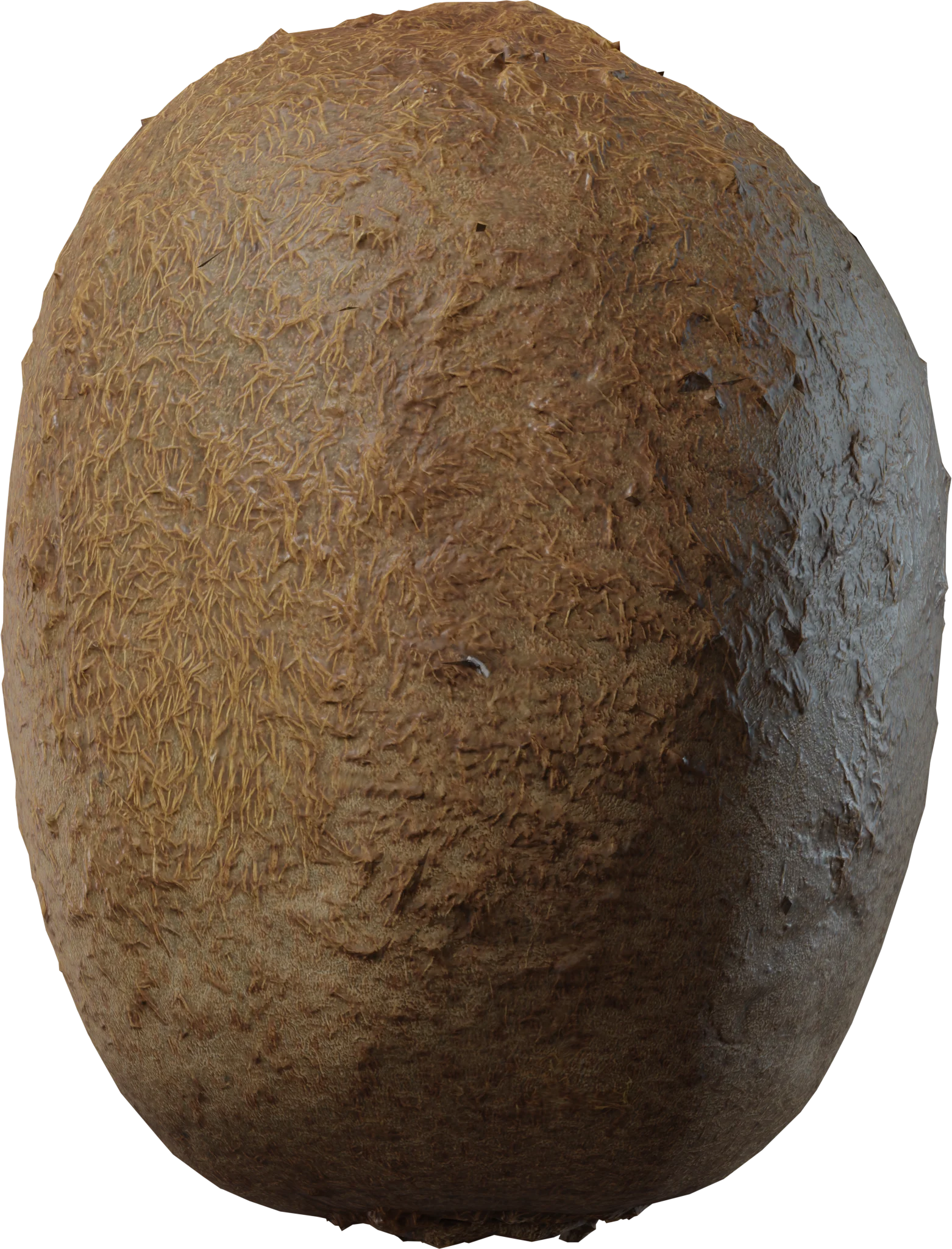 Realistic Kiwi Fruit 4K — 3D model preview 3