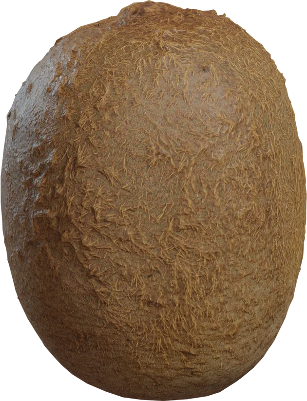 Realistic Kiwi Fruit 4K — 3D model preview 5