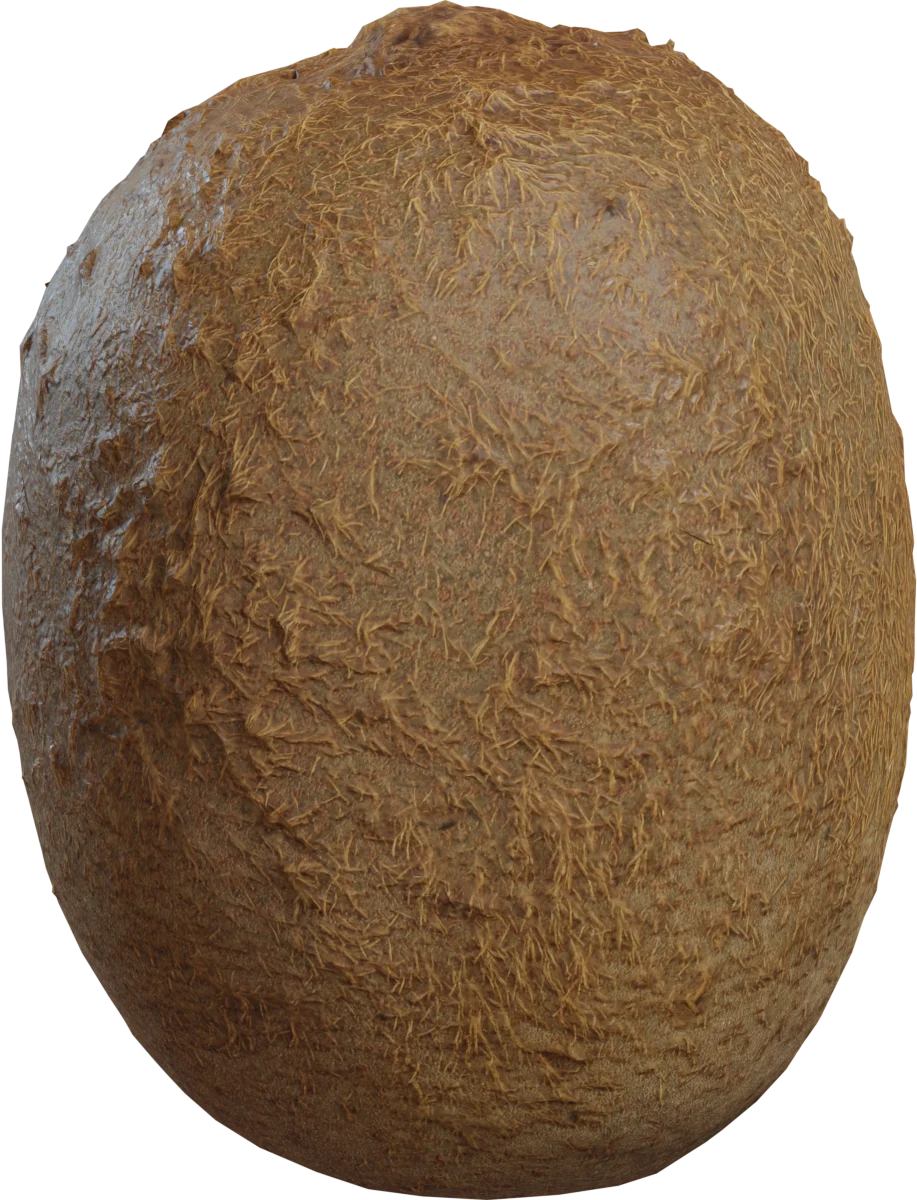 Realistic Kiwi Fruit 4K