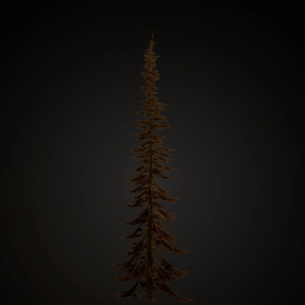 Mountain Hemlock