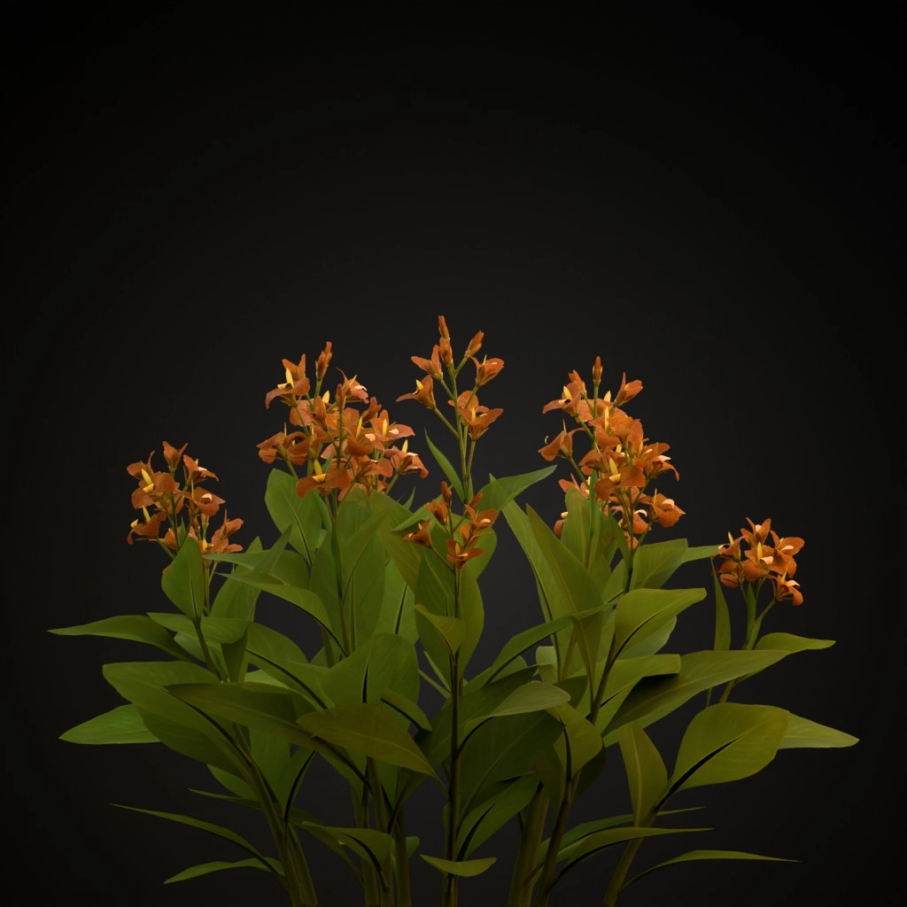 Orange Canna Lily