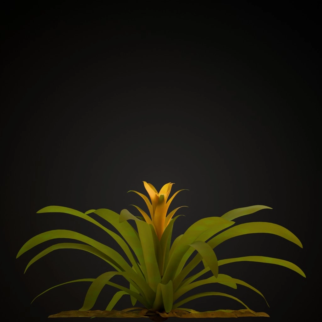 Yellow Guzmania