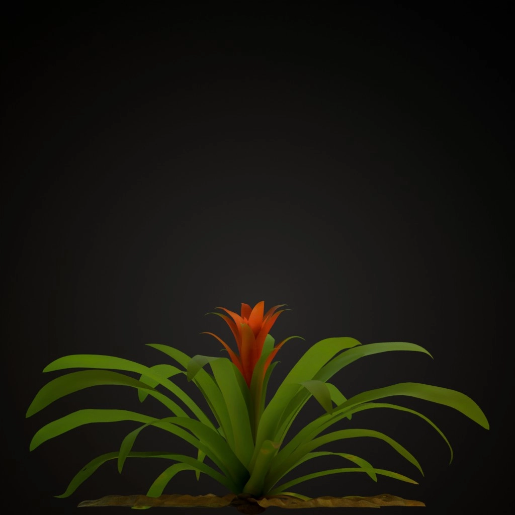 Red Guzmania