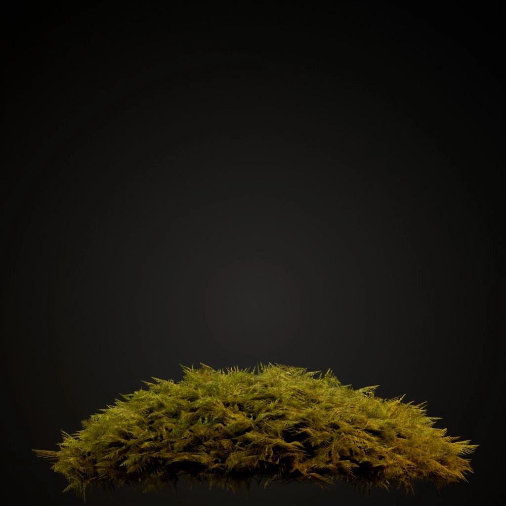 Common Tamarisk Moss