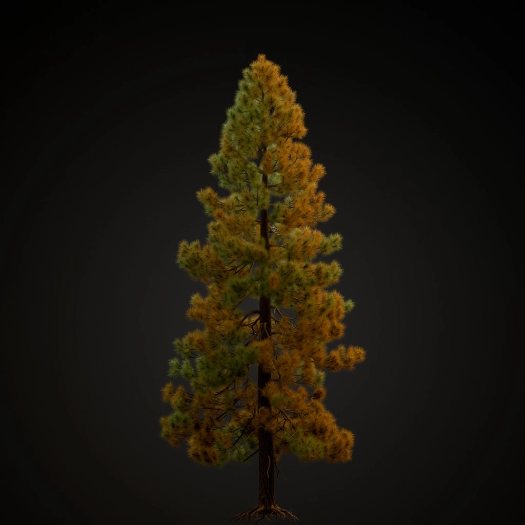 Jeffrey Pine V3