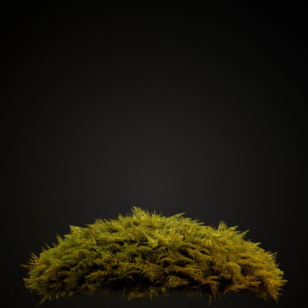Common Tamarisk Moss