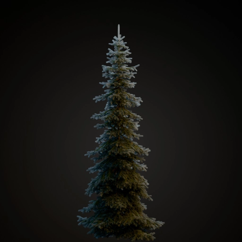 Koster Blue Spruce