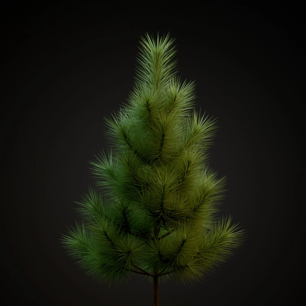 Jeffrey Pine V2