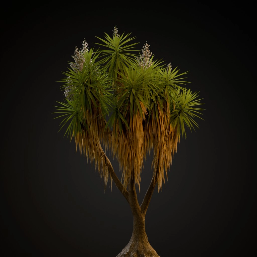 Spineless Yucca