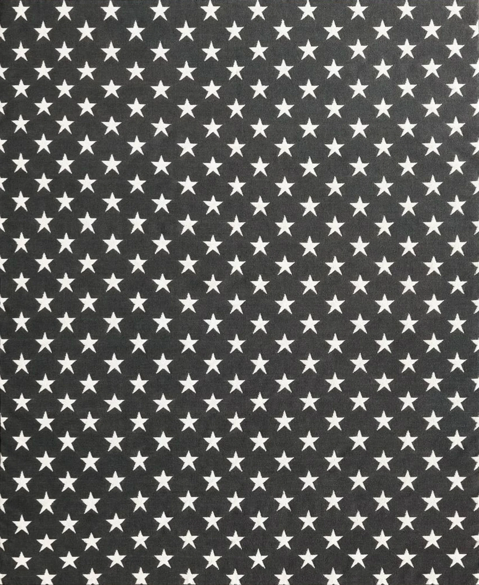 Restoration Hardware Liberty Star Flatweave Rug — 3D model preview 4