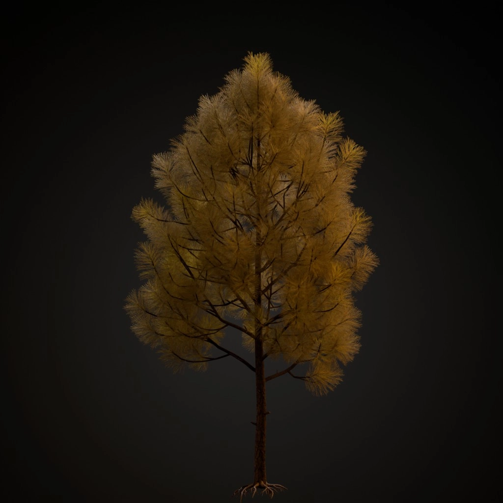 Slash Pine V3