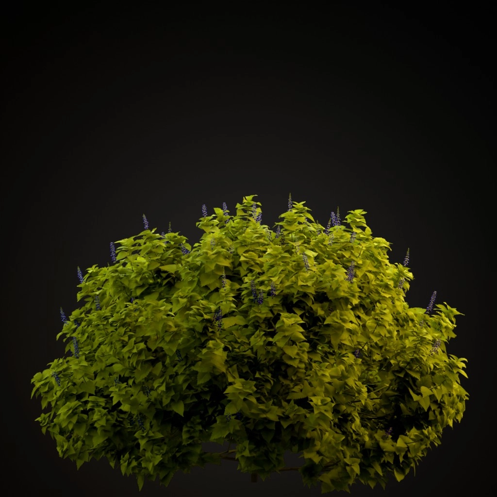 Fairway Yellow Coleus